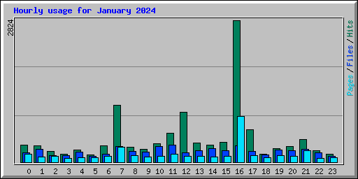 Hourly usage for January 2024