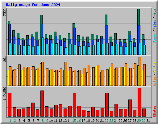 Daily usage for June 2024