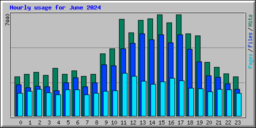 Hourly usage for June 2024