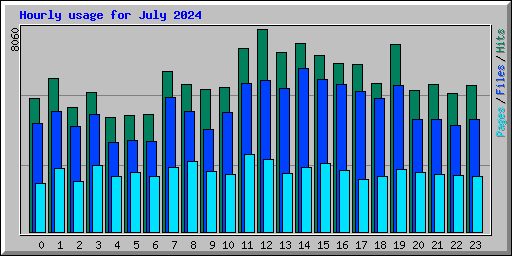 Hourly usage for July 2024