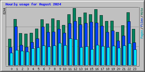 Hourly usage for August 2024
