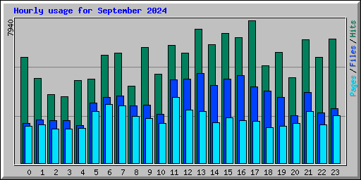 Hourly usage for September 2024