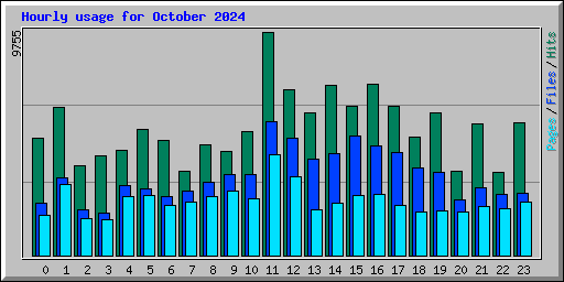 Hourly usage for October 2024