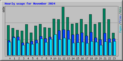 Hourly usage for November 2024