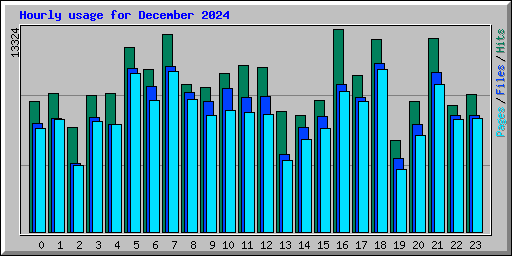 Hourly usage for December 2024