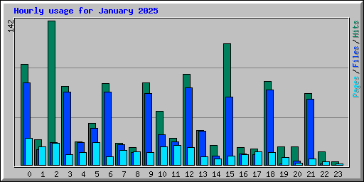Hourly usage for January 2025