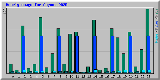 Hourly usage for August 2025
