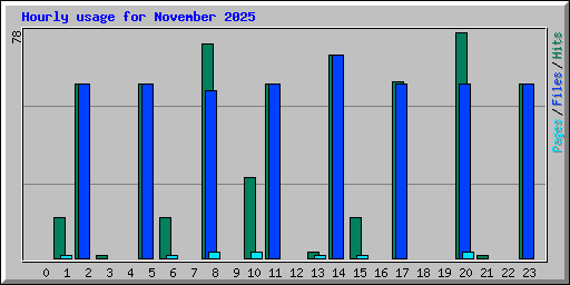 Hourly usage for November 2025