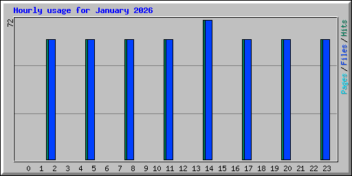 Hourly usage for January 2026