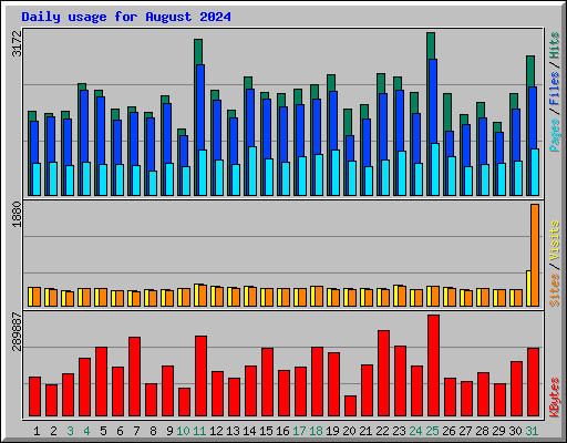 Daily usage for August 2024