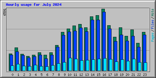 Hourly usage for July 2024