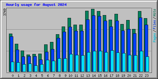 Hourly usage for August 2024