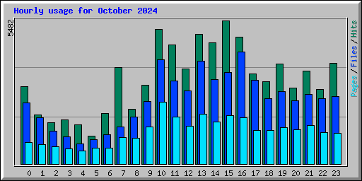 Hourly usage for October 2024