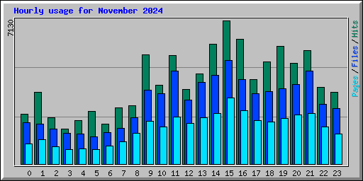 Hourly usage for November 2024