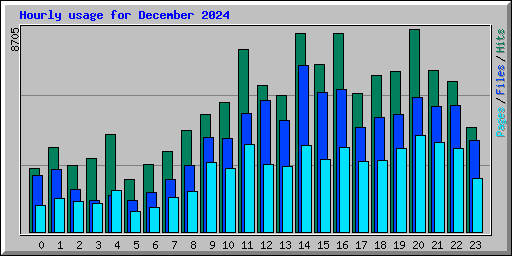Hourly usage for December 2024