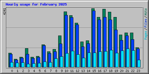 Hourly usage for February 2025