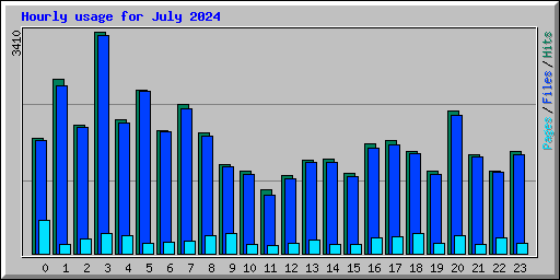 Hourly usage for July 2024