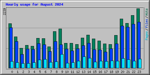 Hourly usage for August 2024